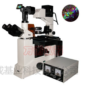 数码型落射荧光显微镜M50D价格 | M50D参数